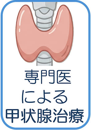 甲状腺疾患(橋本病・バセドウ病)